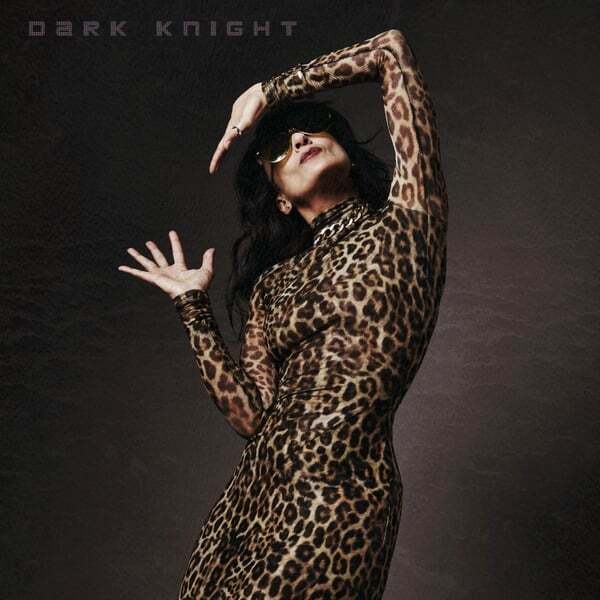 Cover art for Dark Knight
